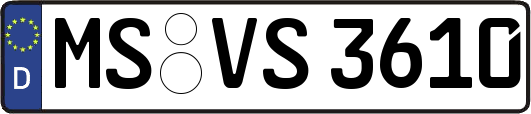MS-VS3610