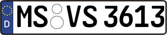 MS-VS3613