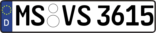 MS-VS3615