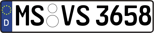 MS-VS3658