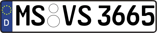 MS-VS3665