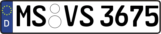 MS-VS3675