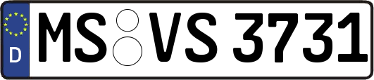 MS-VS3731