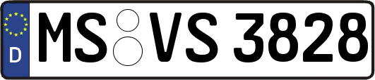 MS-VS3828