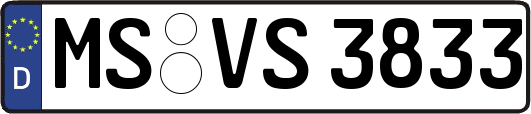 MS-VS3833