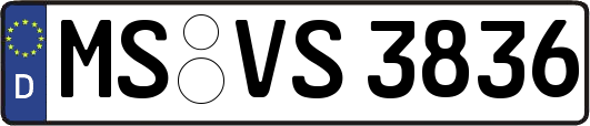 MS-VS3836