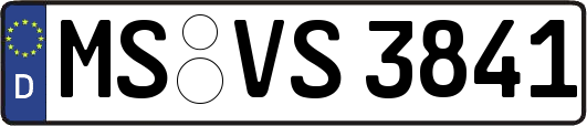 MS-VS3841