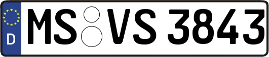 MS-VS3843