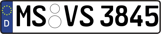 MS-VS3845