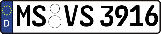 MS-VS3916