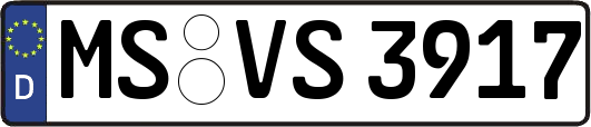 MS-VS3917