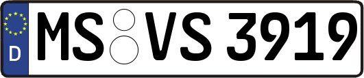 MS-VS3919