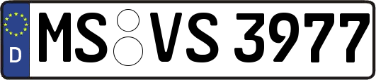 MS-VS3977
