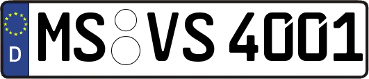 MS-VS4001