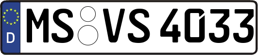 MS-VS4033