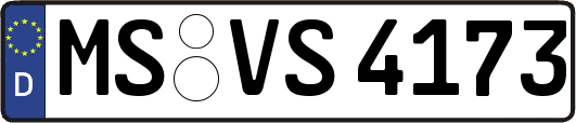 MS-VS4173