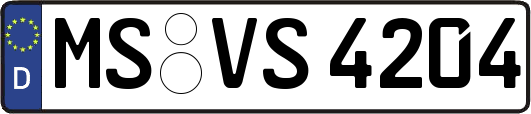 MS-VS4204