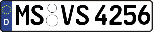 MS-VS4256