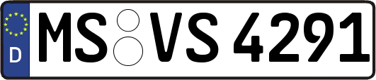 MS-VS4291