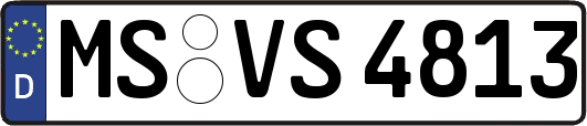 MS-VS4813