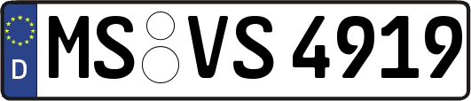 MS-VS4919