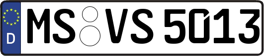 MS-VS5013