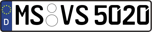 MS-VS5020