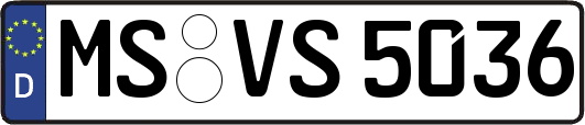 MS-VS5036