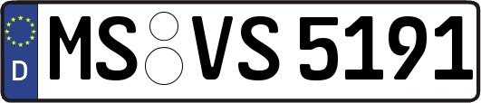 MS-VS5191