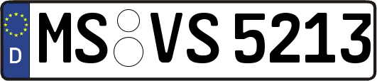 MS-VS5213