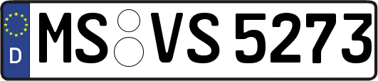 MS-VS5273