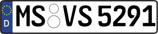 MS-VS5291
