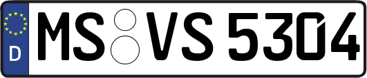 MS-VS5304