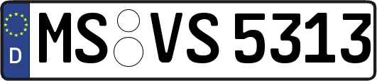 MS-VS5313