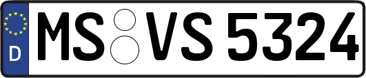 MS-VS5324