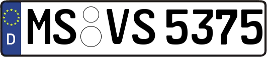 MS-VS5375