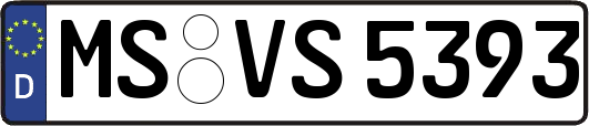 MS-VS5393