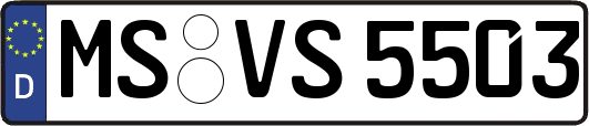MS-VS5503