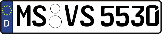 MS-VS5530