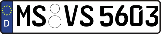 MS-VS5603