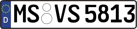 MS-VS5813