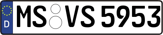 MS-VS5953