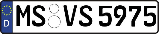 MS-VS5975