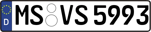 MS-VS5993