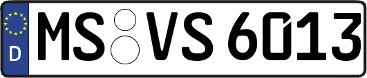 MS-VS6013