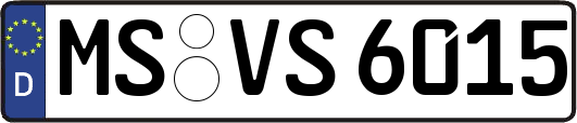 MS-VS6015
