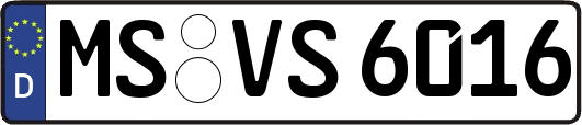 MS-VS6016