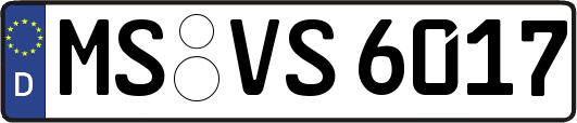 MS-VS6017
