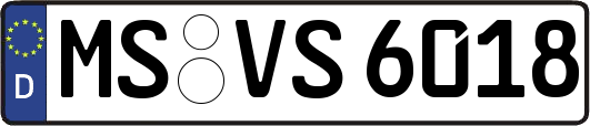 MS-VS6018