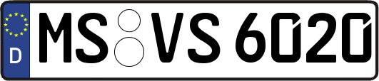 MS-VS6020